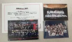 櫻坂46 東京ドーム 集合写真 まとめセット