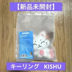 ENHYPEN ENCHIN KEYRING キーリング ソヌ KISHU