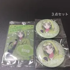 からぴちピクニック 缶バッチ×2個・クリアカード×１枚 セット