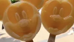 ppp様専用ページ