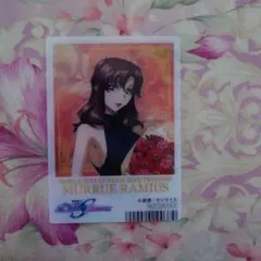 機動戦士ガンダムSeed　アニメイト特典　マリュー