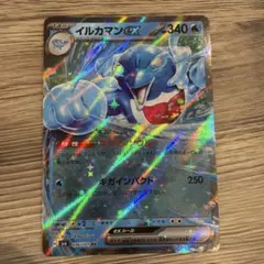 2026年最新】イルカマンex SR SV6 116/101 PSA10の人気アイテム - メルカリ