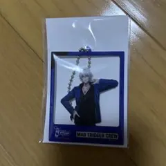 2025年最新】左馬刻碧棺の人気アイテム - メルカリ