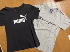 PUMA Champion Tシャツ 2枚セット 150cm