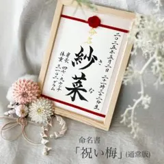 命名書オーダー　水引フレーム「祝い梅」通常版