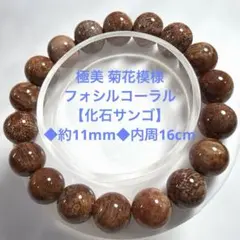 極美 菊花模様 フォシルコーラル 【化石サンゴ】ブレスレット　天然石のサムネイル