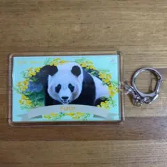 アドベンチャーワールド パンダのシャカシャカキーホルダー 楓浜