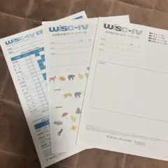 WISC-Ⅴ 知能検査 記録用紙 ３点セット 記録用紙セットのみ継続販売している検査 | 製品一覧 | 心理検査を探す
