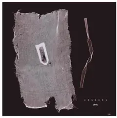 plenty いのちのかたち レコード アナログ盤　江沼郁弥　新品未使用　未開封