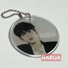 &TEAM HARUA ハルア セカナン カプセルトイ キーホルダー