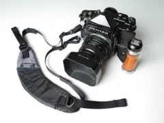 Item thumbnail for item 33614314-4cb5-43a6-9e2d-243d99f5435a