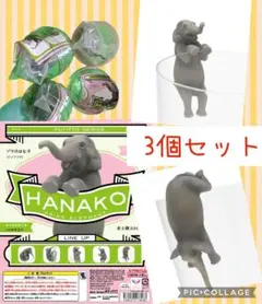 ゾウのはな子 ガチャガチャ アジアゾウ フィギュア PUTITTO コップのフチ