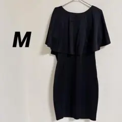 Item thumbnail for item c358f0d1-a75c-4537-a144-b066eea47a8c