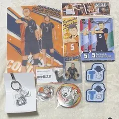 ハイキュー!! 烏野高校 田中龍之介 まとめ売り