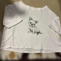 フランシュリッペ　チワワ　Tシャツのサムネイル