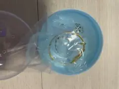 うちの子のけだまだま 2 ペットの毛の入れ物 けだまだま第二弾　シャムトラ