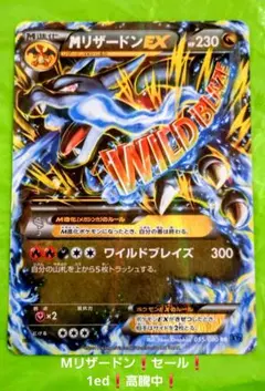 2026年最新】MリザードンEX rrの人気アイテム - メルカリ