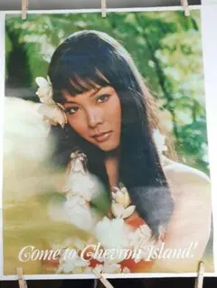 非売品★昭和レトロ★80年代★海外旅行 ハワイ フラダンス 美女 宣伝ポスター