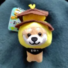 旅するマメしば 京都限定 金閣寺バージョン