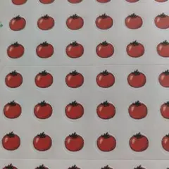 RICO様 リクエスト 2点 まとめ商品