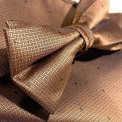 Item thumbnail for item 3ceda936-9d34-4367-b248-6c1b9035e23c