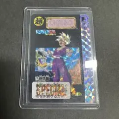 ドラゴンボールカードダス 悟空&ご飯 No.1 めちゃんこプロジェクト