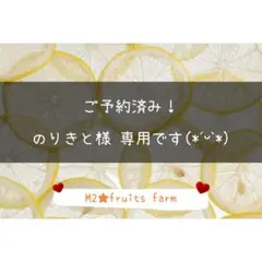 【ꕤ533】不知火デコ【訳あり品☆加工原料】10kg 熊本みかん