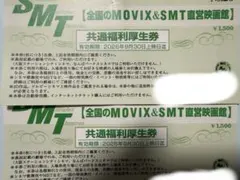 SMT 共通複利厚生券　2枚