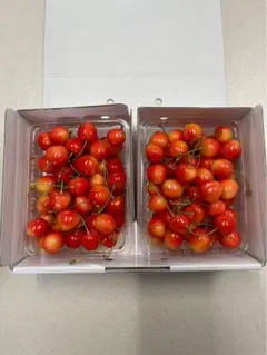 【訳あり】家庭用さくらんぼ 1kg (佐藤錦)19のサムネイル
