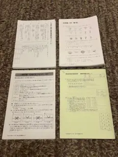 2019年度 サピックス 正月特訓 全4日分難関中、慶應中等部対策・慶應系対策 2019年度 サピックス 正月特訓 全4日分難関中、慶應中等部対策・慶應