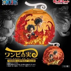 ワンピの実 GRAND CAPSULE Vol.02 スペシャルカラー 未開封