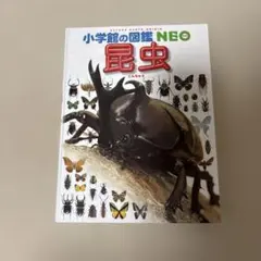 小学館の図鑑NEO 昆虫