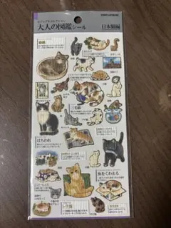 しのもんた様 リクエスト 3点 まとめ商品