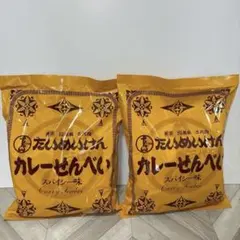たいめいけん カレー せんべい 410g×2袋のサムネイル