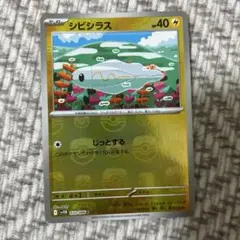 シビシラス HP40 ポケモンカード