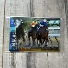 坂井瑠星騎手 直筆サインカード レモンポップ 競馬カード チャンピオンズカップ Amazon.co.jp: 限定ホースレーシングカード 2023 レモンポップ 坂井瑠