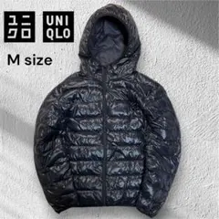 Item thumbnail for item 235f86ce-f0de-4a81-92d3-e86cfbeb7db3