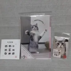 もちまる日記 クリアホルダー A4 ポストカード フォトブック3点セットダイソー