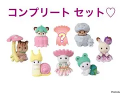 シルバニアファミリー 妖精の森のなかまたちシリーズ コンプ 未開封