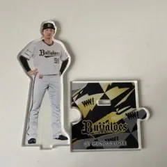 Item thumbnail for item 09e2eda5-cc3b-4777-bb84-19550962cf48