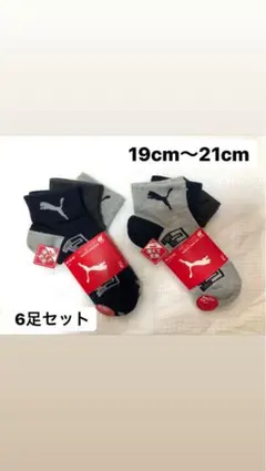 プーマ　靴下　ソックス　19〜21cm