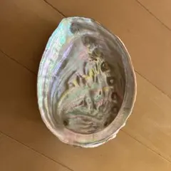 アワビ殻　約15cm 貝殻　インテリア　ハンドメイド素材に