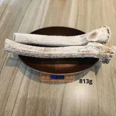 愛媛県産天然筍を使用したメンマ用干したけのこ - メルカリ