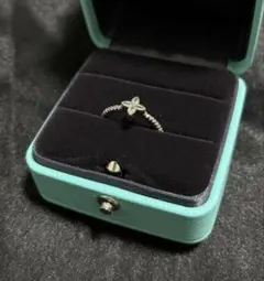 Item thumbnail for item 65cbcbf1-1c15-4a67-b321-004ce539f1a8