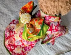 まぁ様専用　オーダー黄緑本物帯に赤ちりめん風桜柄本格晴れ着