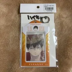 【限定値下げ】ハイキュー バースデイカードホルダー 影山飛雄 2024