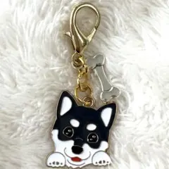 チャーム キーホルダー ブラックタンチワワちゃん - メルカリ
