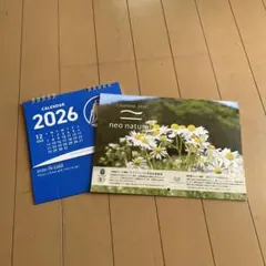 Item thumbnail for item 8956f980-00fa-4729-942a-ccb5e309c115