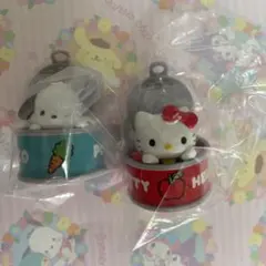 カンキャラ！サンリオキャラクターズ 2種セット