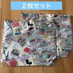 ディズニー　オリジナル巾着バッグ　非売品　2袋